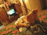 Jingle bells