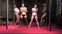 BoundCon XII - Custom Photo Shooting - Saturday Night Special - First Hour