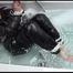 Jill tied and gagged in a bath tub wearing shiny nylon rain pants and a shiny down jacket (Video)