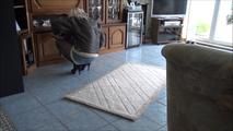 Video request Julia - The burglar Part 1 of 5