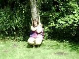 On a tree 1/3