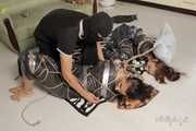 Elvina and Xenia - Elvina is tied, packed, gagged, tickled and joined to Xenia