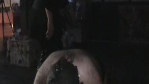 Herrin Aschi und die Sklaven Dressur am Eierband