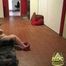 HDC Project - The BBW Girl 02