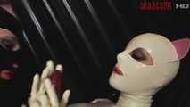 Gummi-Wildkatzen 2