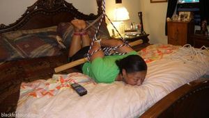 Bamboo pole