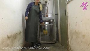 Clip #008 Feeding my pigs—the mixed group #humanpig in the real #barn