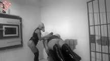 DEVOTE SLAVE PIGS