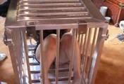 AB-086 Held for Ransom (3)