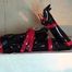raincoat hogtie