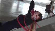 Stella tied on bar 2/2