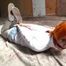1125b Amber in White Turtleneck in the Attic Part 2 Zipties