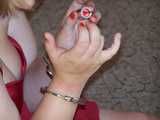 Sandra polished her nails