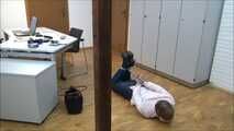 Melissa - The Secretary and the Caretaker Part 5 of 5