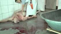 Today the Wutz is slaughtered #pigplay #roleplay in the #slaughterroom