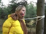 Cold weather
