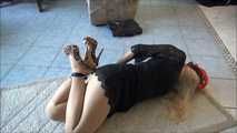 Chelsea - The House Sitter Part 2 of 6