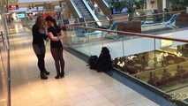 Bondage in Public: Einkaufscenter