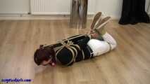 I found it and now I want to be hogtied (4k)