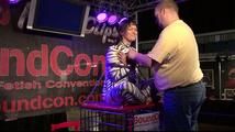 Yvette - taming the Zebra ?
