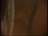 HIDDEN CAM AND FUCKING COUPLES