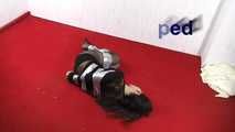 Isi get free of tape 1