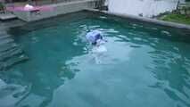 Xiaomeng Pool Adventure