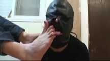 STINKY FEET LICKING