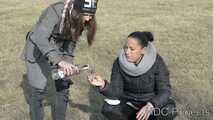 Wasted in the field with Vanda