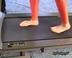 The treadmill 1