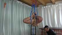 Live Suspension 2