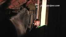 055010 Cute Teen Natly Pees In The Stables