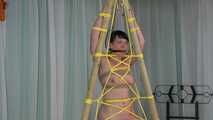 The Yellow Net  2/2