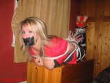 Viewer Promo Gallery 31