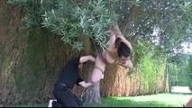 hanging in the tree
