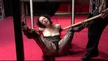 BoundCon XII - Custom Photo Shooting - Sasori vs. Minuit continue - Full Clip