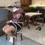 Xara - The Babysitter Part 2 of 2