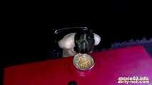 Feeding a bitch