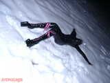 Snow Angel