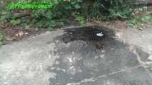095003 Rock Chick Denise Pees In A Suburban Lane