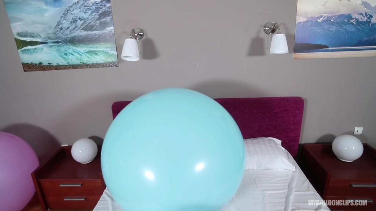clip no. 221