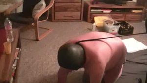 Das Popkorn-Schweinchen