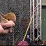 BoundCon XVI - Custom Photo Shooting 10 - Bob & Umino vs. Little Red Girl & Stardust - Full Session