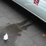 054002 Maja Pees In The Street