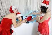 Weihnachtsbaum Geschichte mit Lucky, Nelly und Xenia - Teil eins