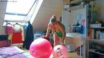 news from the bouncy ball queen