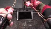 Hard Breast Punishment in Public for Kitty the Cat
