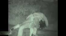 HIDDEN CAM AND FUCKING COUPLES