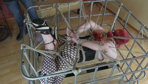 Wildfire in der Kiste