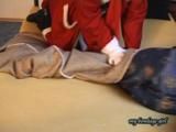 Santa Claus 1